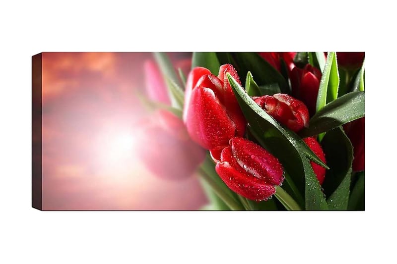 CANVASTAVLA YTY Floral & Botanical Flerfärgad 120x50 cm - Inredning & dekor - Tavlor & konst - Canvastavla