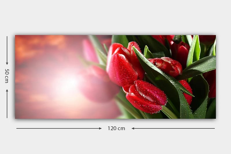 CANVASTAVLA YTY Floral & Botanical Flerfärgad 120x50 cm - Inredning & dekor - Tavlor & konst - Canvastavla