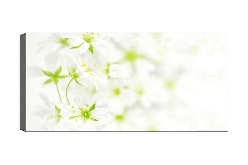 CANVASTAVLA YTY Floral & Botanical Flerfärgad 120x50 cm