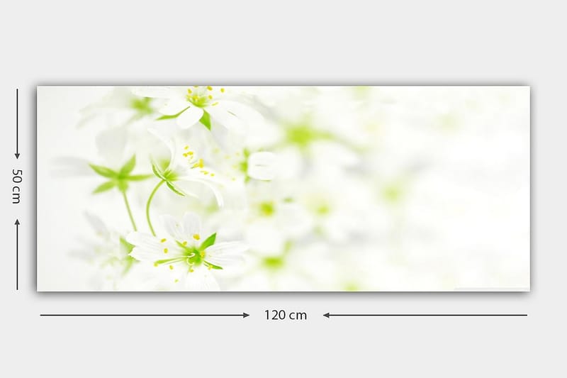 CANVASTAVLA YTY Floral & Botanical Flerfärgad 120x50 cm - Inredning & dekor - Tavlor & konst - Canvastavla
