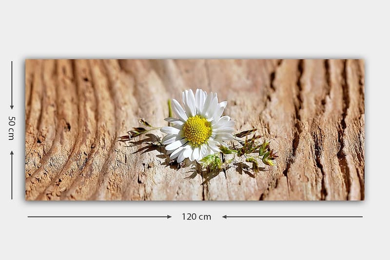 CANVASTAVLA YTY Floral & Botanical Flerfärgad 120x50 cm - Inredning & dekor - Tavlor & konst - Canvastavla