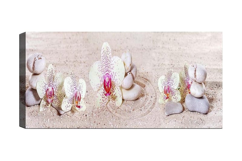 CANVASTAVLA YTY Floral & Botanical Flerfärgad 120x50 cm - Inredning & dekor - Tavlor & konst - Canvastavla