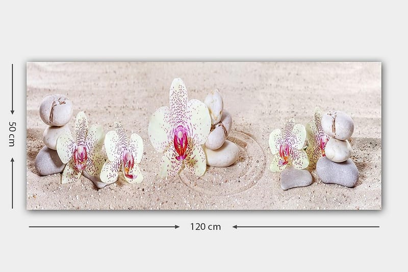 CANVASTAVLA YTY Floral & Botanical Flerfärgad 120x50 cm - Inredning & dekor - Tavlor & konst - Canvastavla