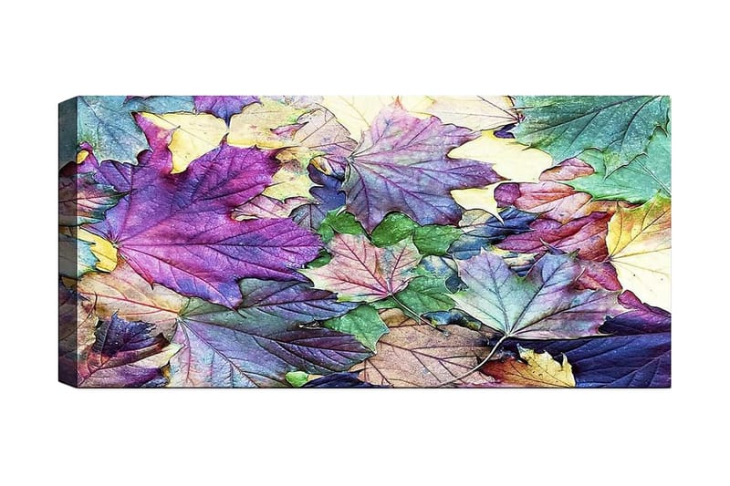 CANVASTAVLA YTY Floral & Botanical Flerfärgad 120x50 cm