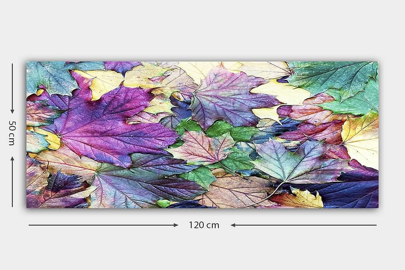 CANVASTAVLA YTY Floral & Botanical Flerfärgad 120x50 cm - Inredning & dekor - Tavlor & konst - Canvastavla