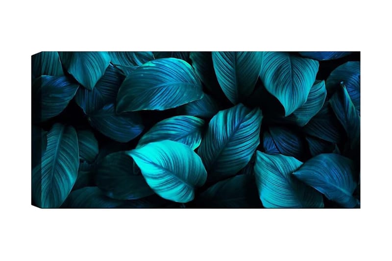 CANVASTAVLA YTY Floral & Botanical Flerfärgad 120x50 cm