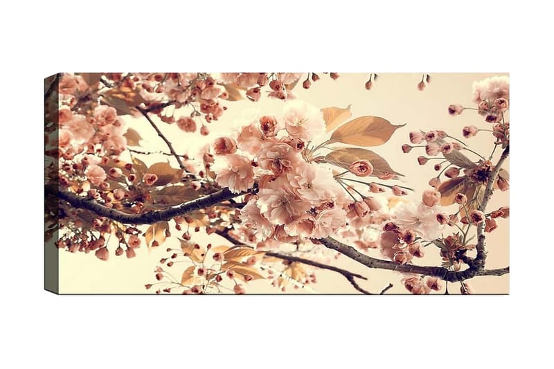 CANVASTAVLA YTY Floral & Botanical Flerfärgad 120x50 cm