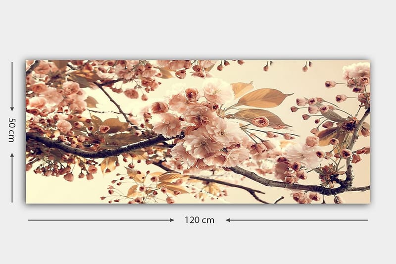 CANVASTAVLA YTY Floral & Botanical Flerfärgad 120x50 cm - Inredning & dekor - Tavlor & konst - Canvastavla