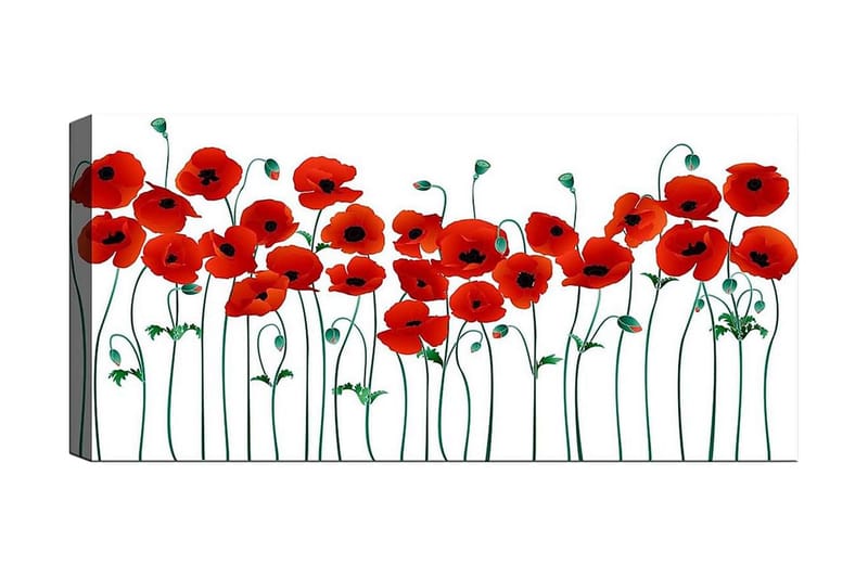 CANVASTAVLA YTY Floral & Botanical Flerfärgad 120x50 cm