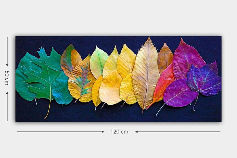 CANVASTAVLA YTY Floral & Botanical Flerfärgad 120x50 cm - Inredning & dekor - Tavlor & konst - Canvastavla