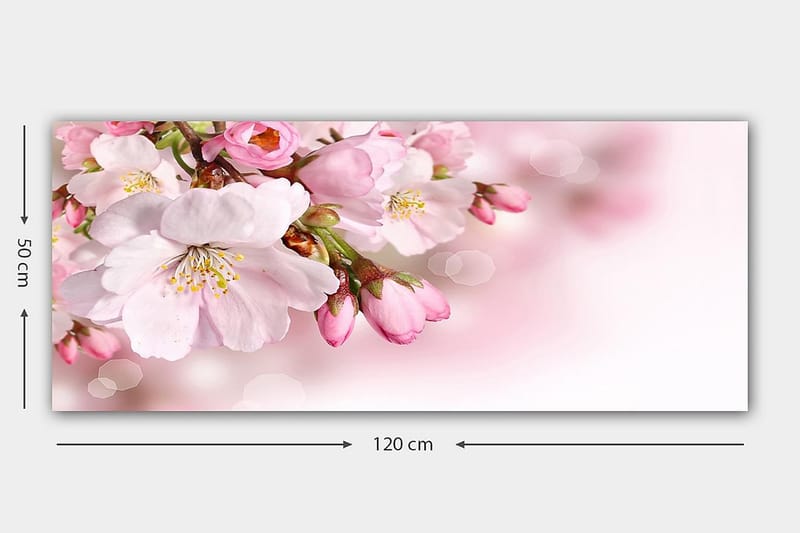 CANVASTAVLA YTY Floral & Botanical Flerfärgad 120x50 cm - Inredning & dekor - Tavlor & konst - Canvastavla