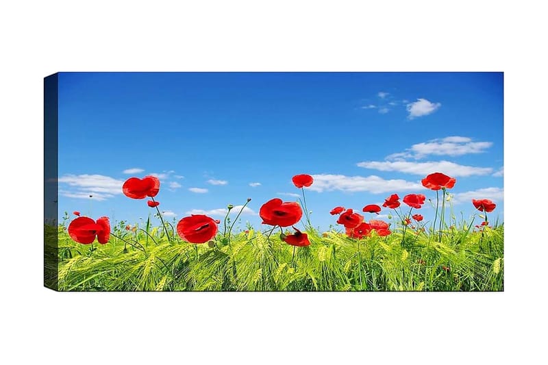 CANVASTAVLA YTY Floral & Botanical Flerfärgad 120x50 cm - Inredning & dekor - Tavlor & konst - Canvastavla