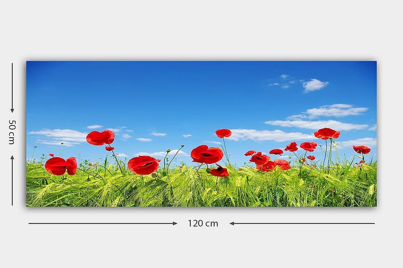 CANVASTAVLA YTY Floral & Botanical Flerfärgad 120x50 cm - Inredning & dekor - Tavlor & konst - Canvastavla