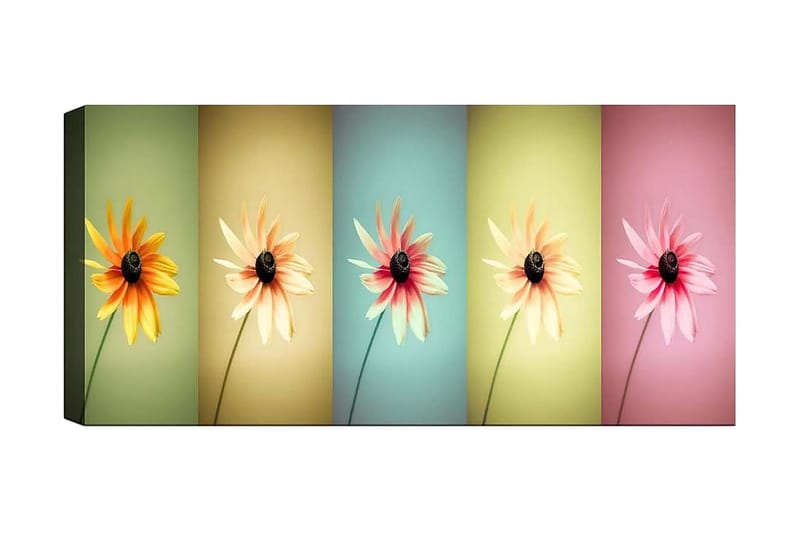 CANVASTAVLA YTY Floral & Botanical Flerfärgad 120x50 cm - Inredning & dekor - Tavlor & konst - Canvastavla