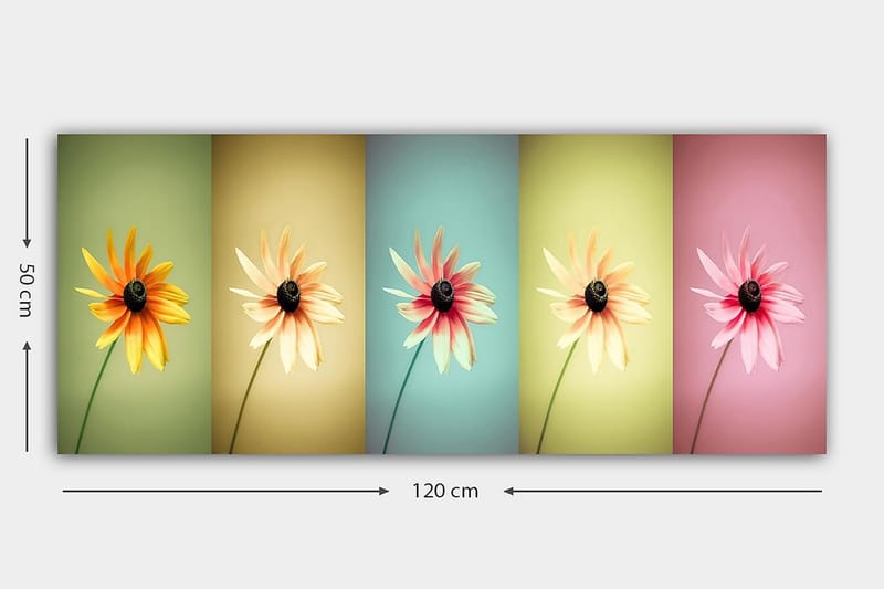 CANVASTAVLA YTY Floral & Botanical Flerfärgad 120x50 cm - Inredning & dekor - Tavlor & konst - Canvastavla