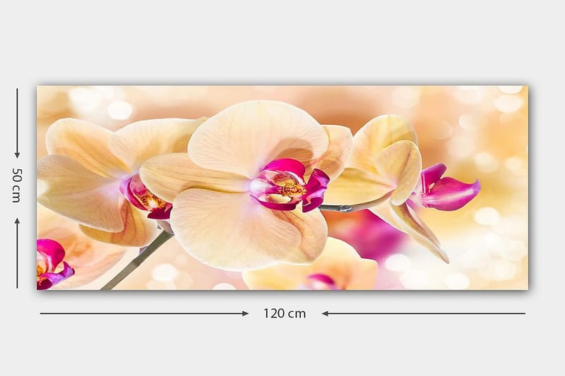CANVASTAVLA YTY Floral & Botanical Flerfärgad 120x50 cm - Inredning & dekor - Tavlor & konst - Canvastavla