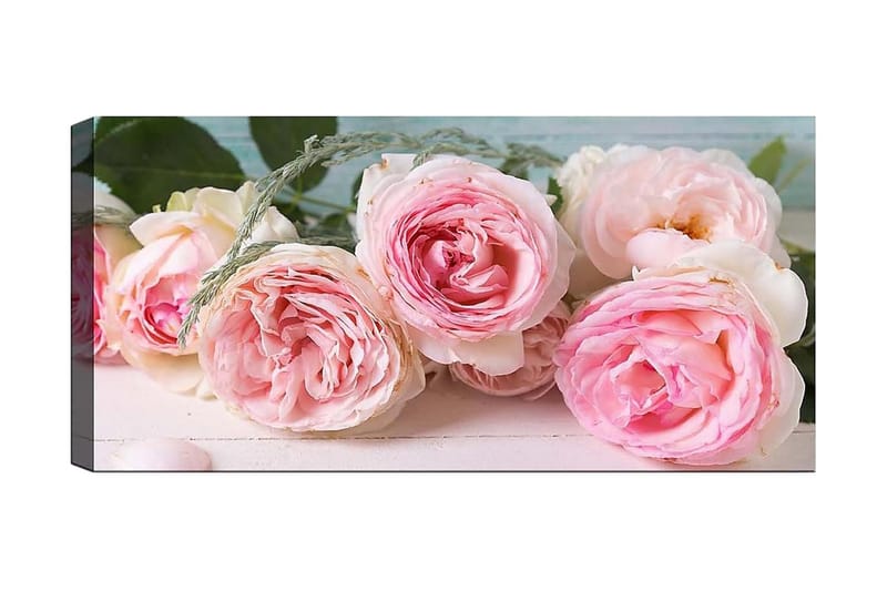 CANVASTAVLA YTY Floral & Botanical Flerfärgad 120x50 cm - Inredning & dekor - Tavlor & konst - Canvastavla