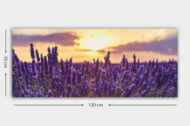 CANVASTAVLA YTY Floral & Botanical Flerfärgad 120x50 cm - Inredning & dekor - Tavlor & konst - Canvastavla