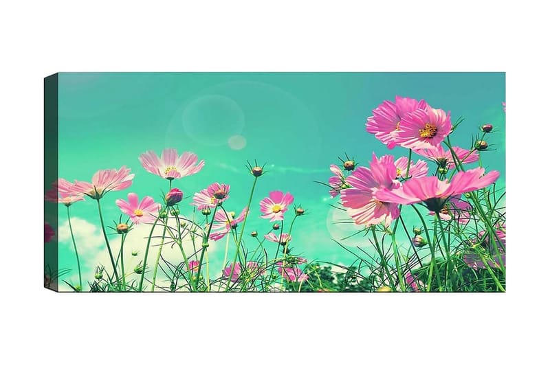 CANVASTAVLA YTY Floral & Botanical Flerfärgad 120x50 cm - Inredning & dekor - Tavlor & konst - Canvastavla