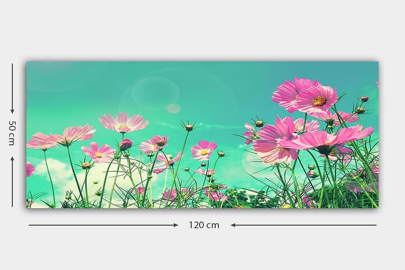 CANVASTAVLA YTY Floral & Botanical Flerfärgad 120x50 cm - Inredning & dekor - Tavlor & konst - Canvastavla