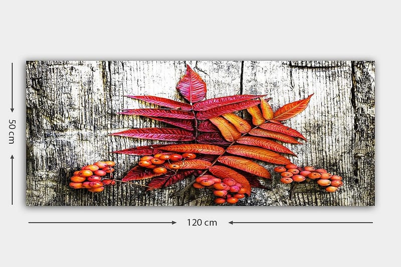 CANVASTAVLA YTY Floral & Botanical Flerfärgad 120x50 cm - Inredning & dekor - Tavlor & konst - Canvastavla