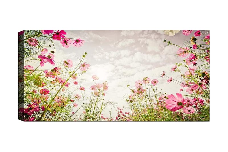 CANVASTAVLA YTY Floral & Botanical Flerfärgad 120x50 cm - Inredning & dekor - Tavlor & konst - Canvastavla