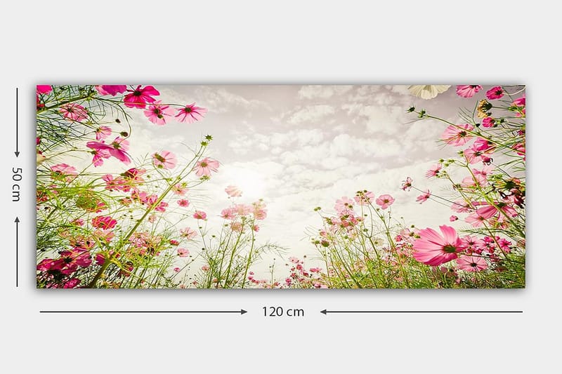 CANVASTAVLA YTY Floral & Botanical Flerfärgad 120x50 cm - Inredning & dekor - Tavlor & konst - Canvastavla