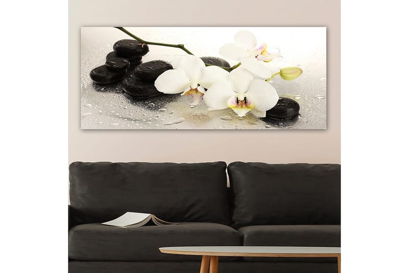 CANVASTAVLA YTY Floral & Botanical Flerfärgad 120x50 cm - Canvastavla