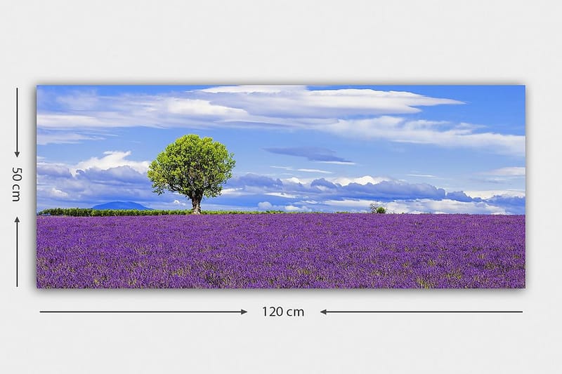 CANVASTAVLA YTY Floral & Botanical Flerfärgad 120x50 cm - Inredning & dekor - Tavlor & konst - Canvastavla