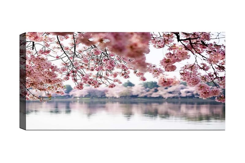 CANVASTAVLA YTY Floral & Botanical Flerfärgad 120x50 cm - Inredning & dekor - Tavlor & konst - Canvastavla