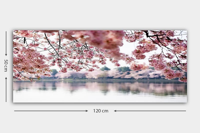 CANVASTAVLA YTY Floral & Botanical Flerfärgad 120x50 cm - Inredning & dekor - Tavlor & konst - Canvastavla