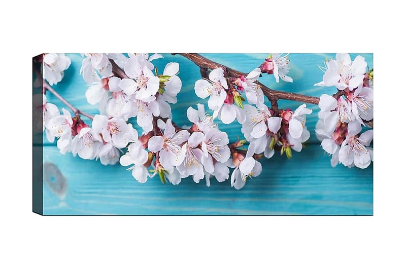 CANVASTAVLA YTY Floral & Botanical Flerfärgad 120x50 cm - Inredning & dekor - Tavlor & konst - Canvastavla