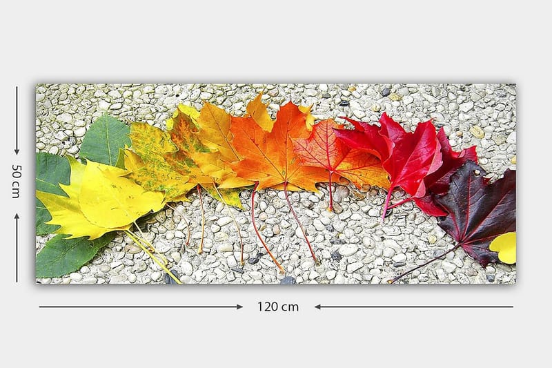 CANVASTAVLA YTY Floral & Botanical Flerfärgad 120x50 cm - Inredning & dekor - Tavlor & konst - Canvastavla