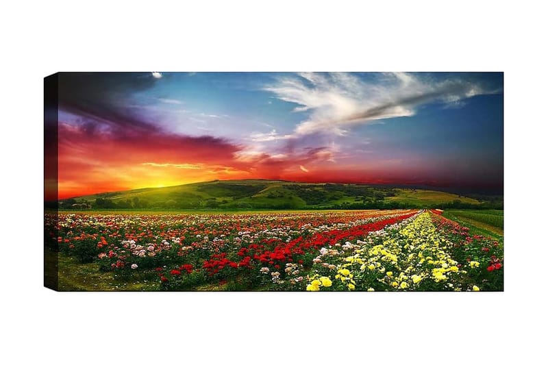 CANVASTAVLA YTY Floral & Botanical Flerfärgad 120x50 cm - Inredning & dekor - Tavlor & konst - Canvastavla