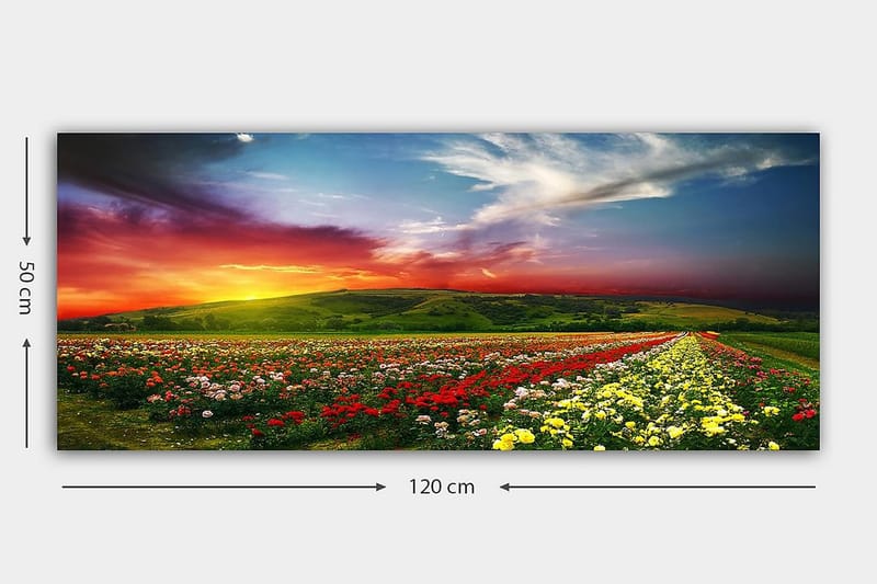 CANVASTAVLA YTY Floral & Botanical Flerfärgad 120x50 cm - Inredning & dekor - Tavlor & konst - Canvastavla
