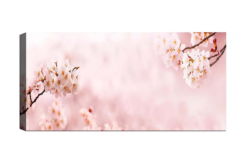 CANVASTAVLA YTY Floral & Botanical Flerfärgad 120x50 cm - Inredning & dekor - Tavlor & konst - Canvastavla
