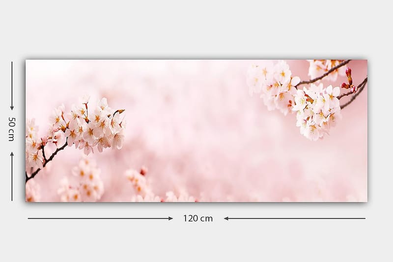 CANVASTAVLA YTY Floral & Botanical Flerfärgad 120x50 cm - Inredning & dekor - Tavlor & konst - Canvastavla