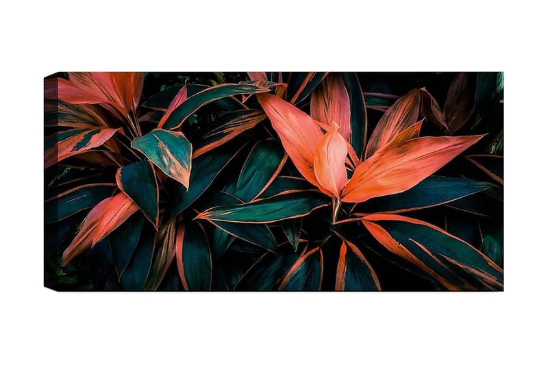 CANVASTAVLA YTY Floral & Botanical Flerfärgad 120x50 cm - Inredning & dekor - Tavlor & konst - Canvastavla
