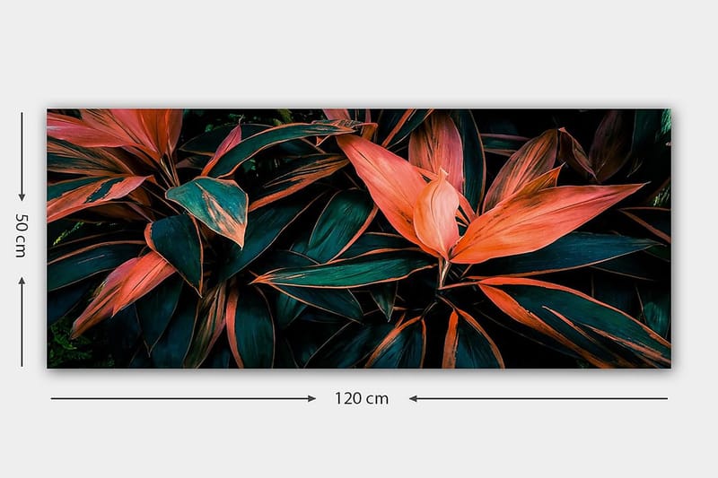 CANVASTAVLA YTY Floral & Botanical Flerfärgad 120x50 cm - Inredning & dekor - Tavlor & konst - Canvastavla