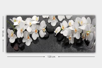 Canvastavla YTY Floral & Botanical Flerfärgad - 120x50 cm - Inredning & dekor - Tavlor & konst - Canvastavla