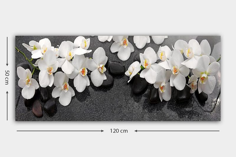 Canvastavla YTY Floral & Botanical Flerfärgad - 120x50 cm - Inredning & dekor - Tavlor & konst - Canvastavla