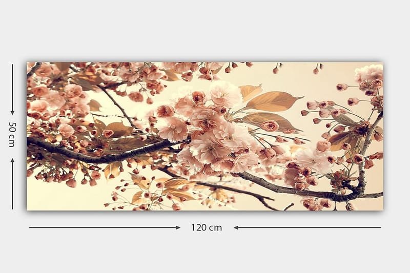 Canvastavla YTY Floral & Botanical Flerfärgad - 120x50 cm - Inredning & dekor - Tavlor & konst - Canvastavla