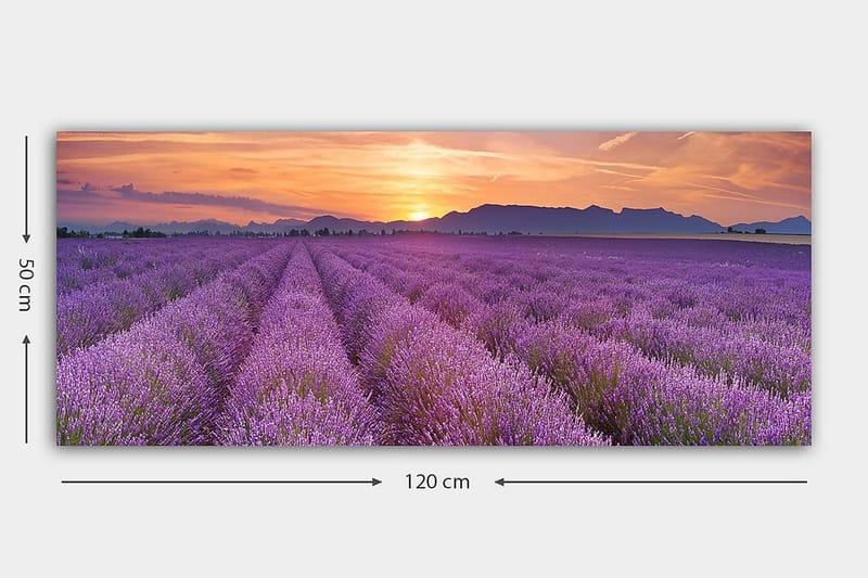 Canvastavla YTY Floral & Botanical Flerfärgad - 120x50 cm - Inredning & dekor - Tavlor & konst - Canvastavla