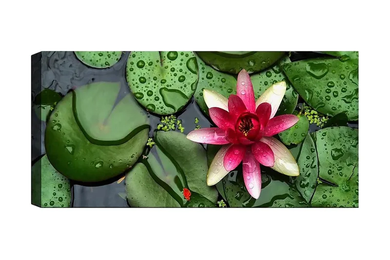 Canvastavla YTY Floral & Botanical Flerfärgad, 120x50 cm