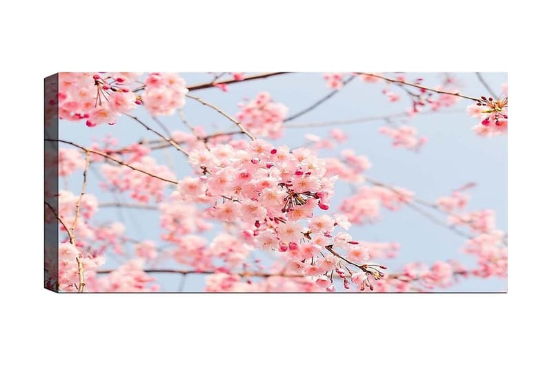 Canvastavla YTY Floral & Botanical Flerfärgad, 120x50 cm