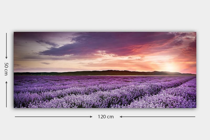 Canvastavla YTY Floral & Botanical Flerfärgad - 120x50 cm - Inredning & dekor - Tavlor & konst - Canvastavla