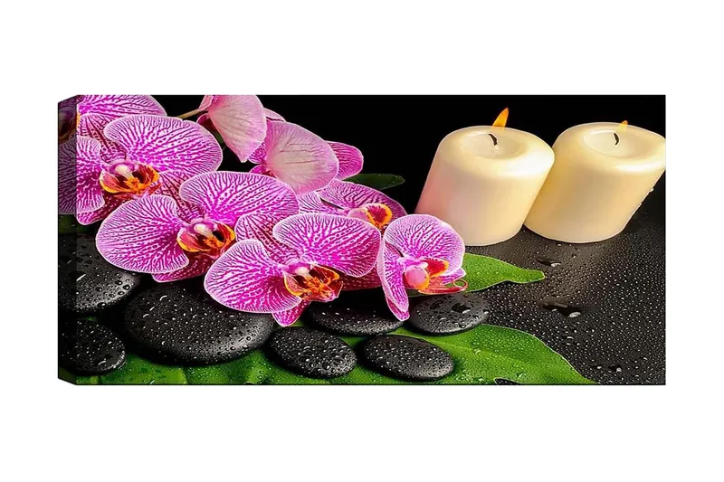 Canvastavla YTY Floral & Botanical Flerfärgad, 120x50 cm