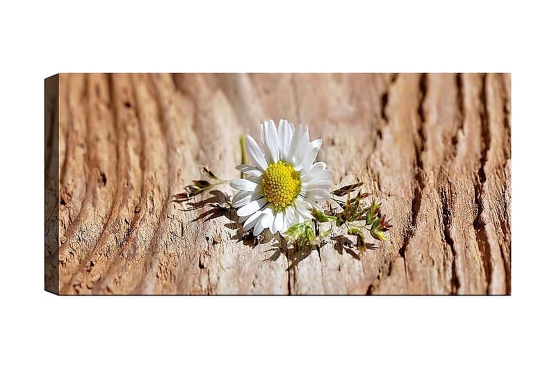 Canvastavla YTY Floral & Botanical Flerfärgad - 120x50 cm - Inredning & dekor - Tavlor & konst - Canvastavla