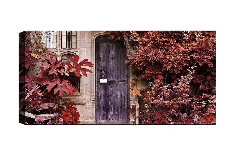 Canvastavla YTY Floral & Botanical Flerfärgad, 120x50 cm