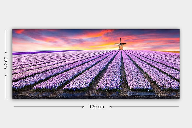 Canvastavla YTY Floral & Botanical Flerfärgad - 120x50 cm - Inredning & dekor - Tavlor & konst - Canvastavla